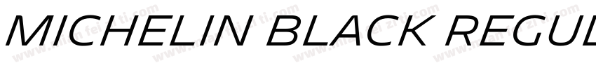 Michelin Black Regular字体转换